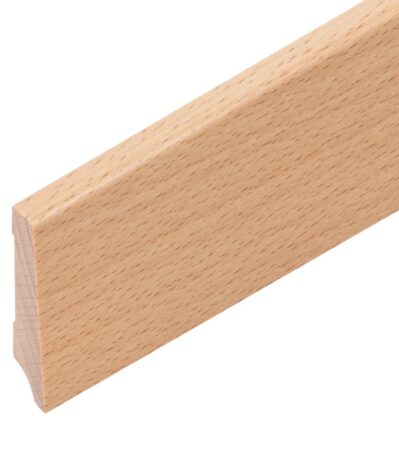 Buche gedämpft lackiert 50/12/8 mm