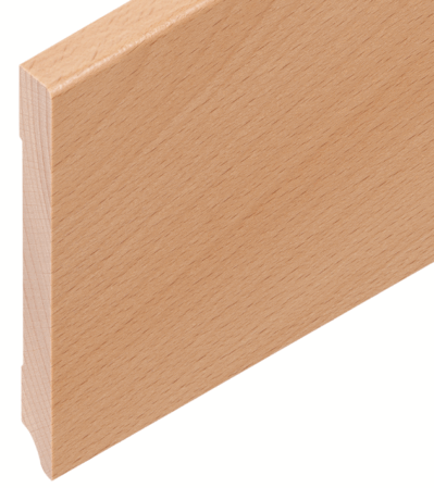 Buche gedämpft lackiert 100/12 mm